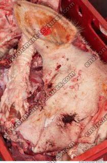 RAW meat pork 0100